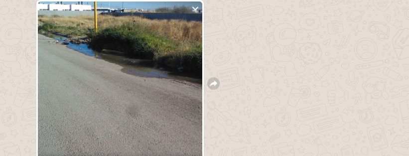 Ciudadanos denuncian brote de aguas negras