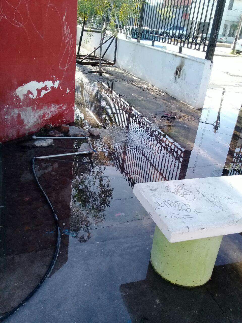 Vandalismo en instalaciones de biblioteca y del INEA