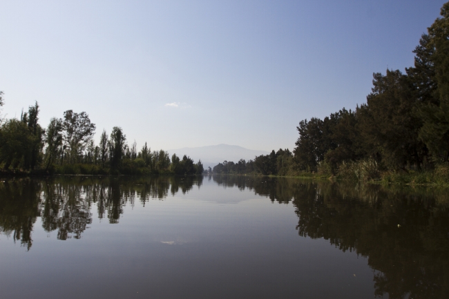 En 2050, Xochimilco podría desaparecer de seguir sus problemas ambientales