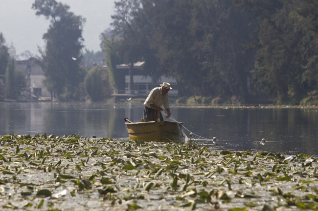 En 2050, Xochimilco podría desaparecer de seguir sus problemas ambientales