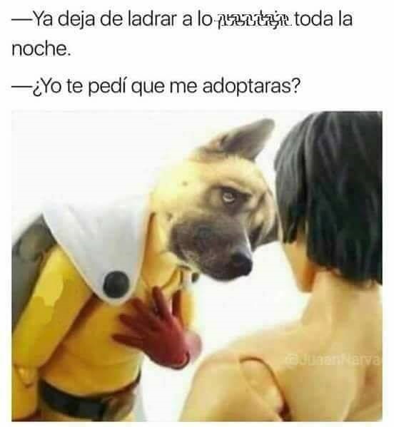 ¿Acaso no sabes de dónde salió este extraño meme?