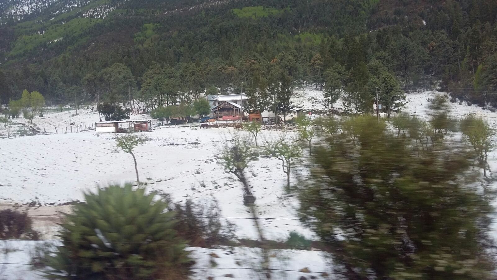Granizada sorprende a arteaguenses