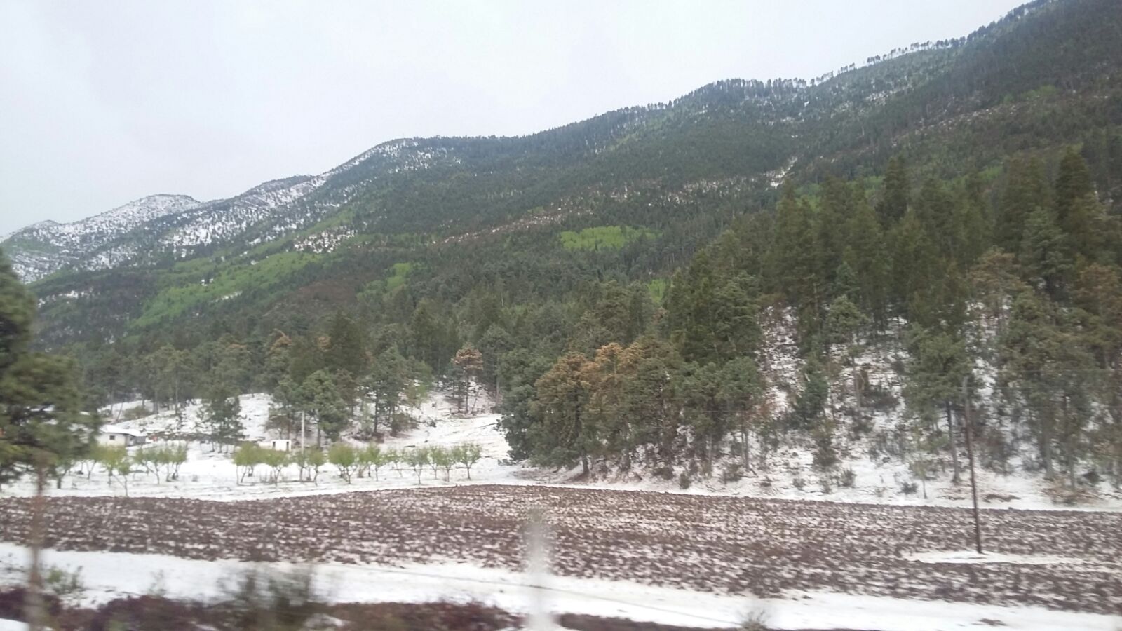 Granizada sorprende a arteaguenses
