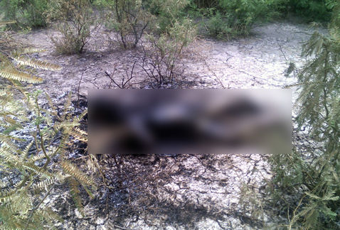 Encuentran a joven calcinada en Matamoros, Coahuila&nbsp;