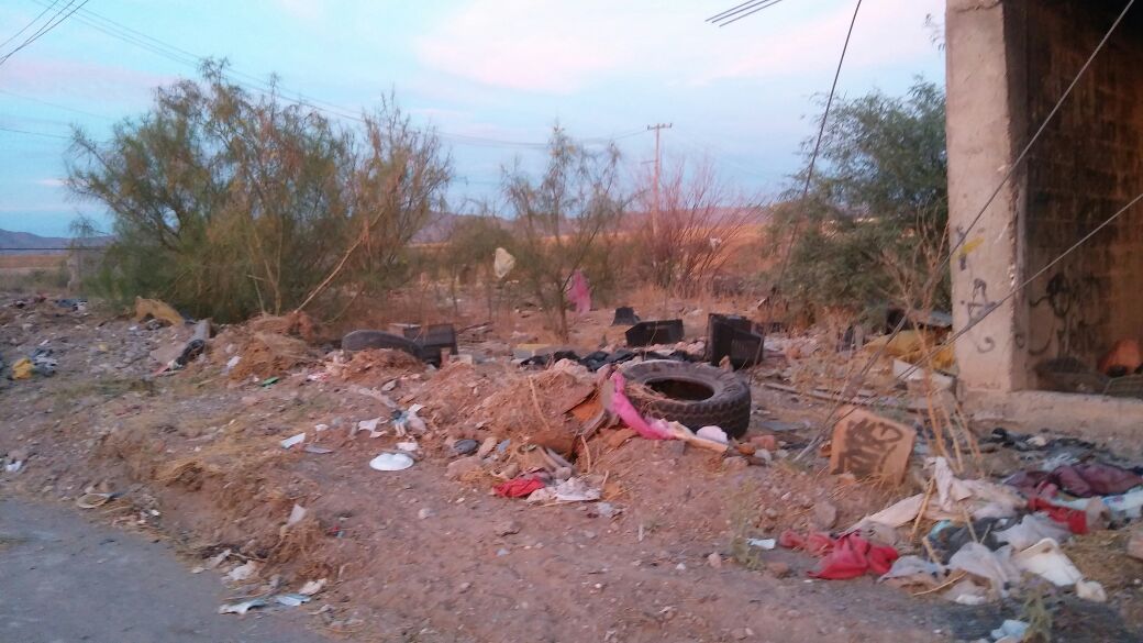 Terreno baldío nido de plagas y maleantes