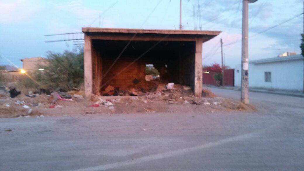 Terreno baldío nido de plagas y maleantes