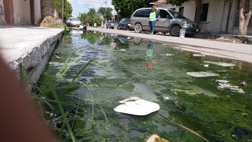 Vecinos reportan brote de infecciones en la colonia División del Norte