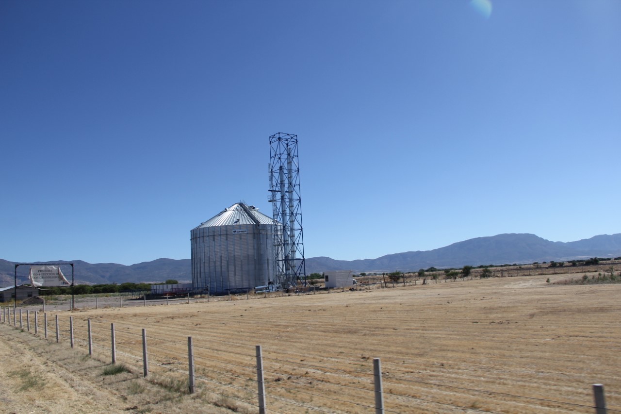 Urge suspender cupo de importación de frijol a México