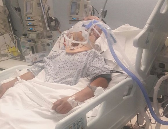 Cae de un árbol en Noche Buena. Ahora lucha por su vida