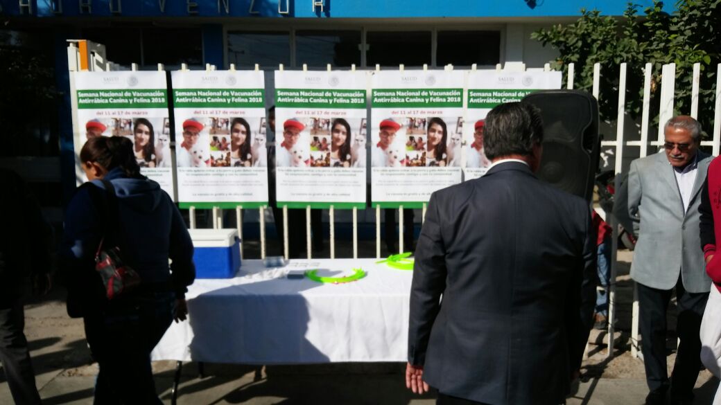Aplicarán 90 mil vacunas para la rabia en perros y gatos en región lagunera de Durango