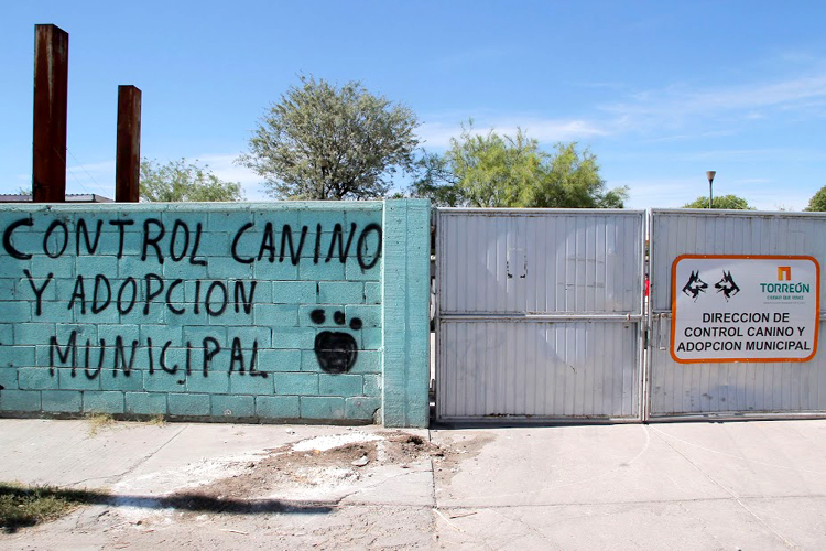 Continúan abandonando perros vivos y muertos fuera de la perrera municipal de Torreón