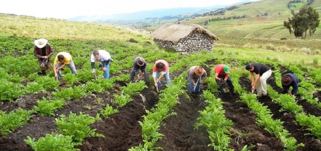Atenderá Desarrollo Rural plagas de cultivos en comunidades de GTO