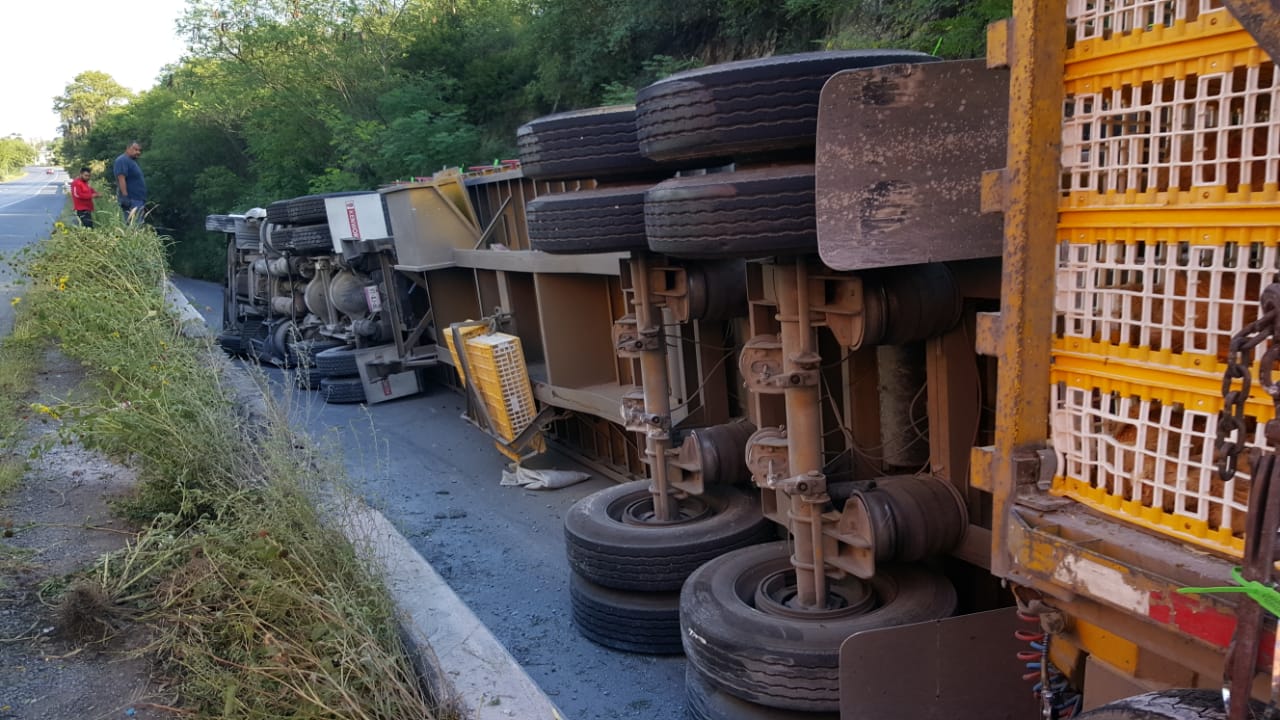 Vuelca tráiler cargado con pollos en la Carretera Nacional