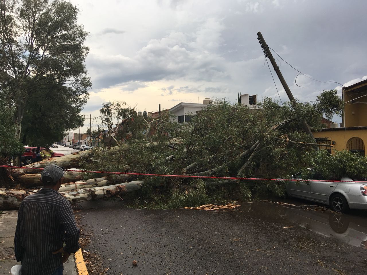 Árboles caídos, autos dañados, lámparas incendiadas e inundaciones en Durango
