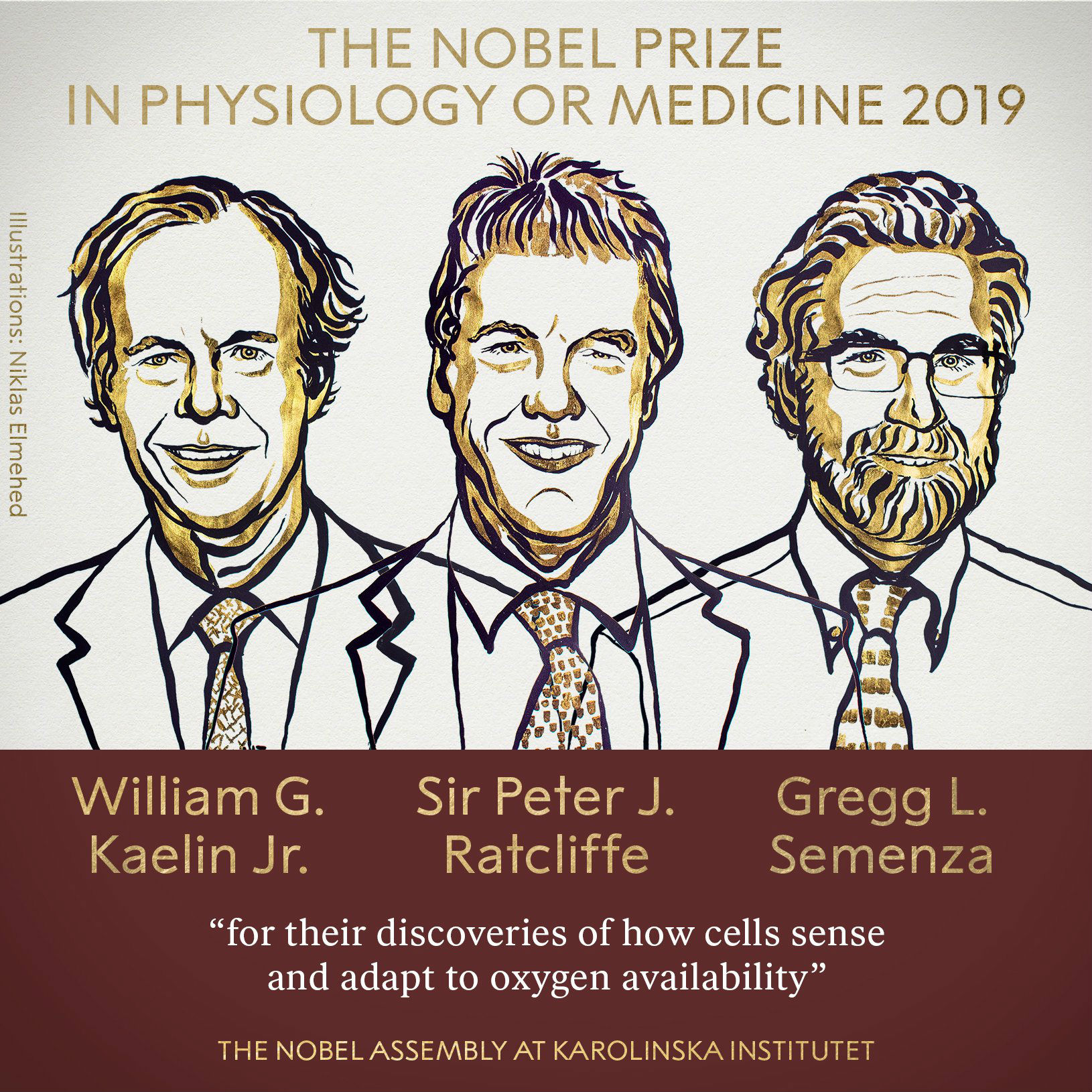 Nobel de medicina premia la investigación celular; clave en la lucha contra el cáncer