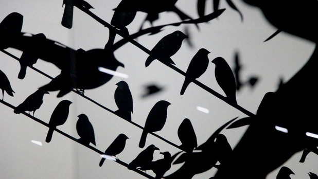 La expo de Hitchcock llena de suspenso la Cineteca Nacional