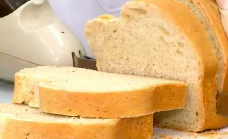 Pan de cucaracha ¡bien nutritivo!