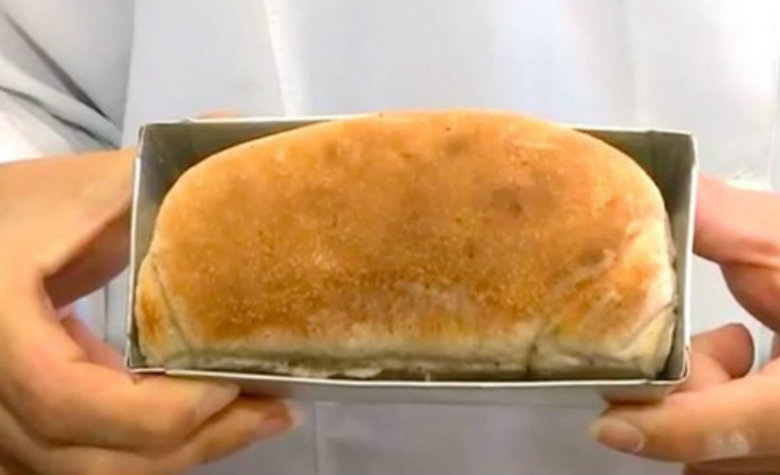 Pan de cucaracha ¡bien nutritivo!