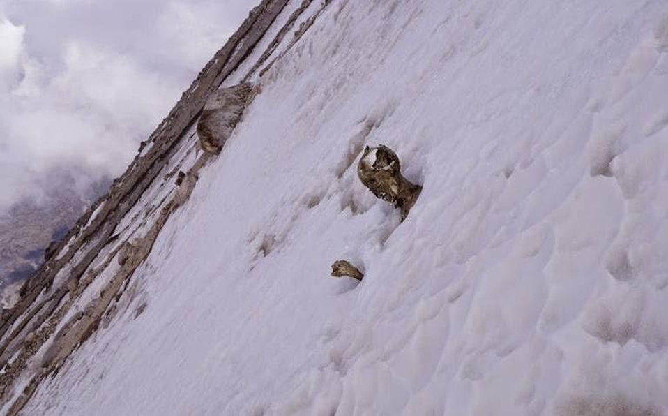 Tras 59 años, rescatan cuerpos de alpinistas en el Pico de Orizaba