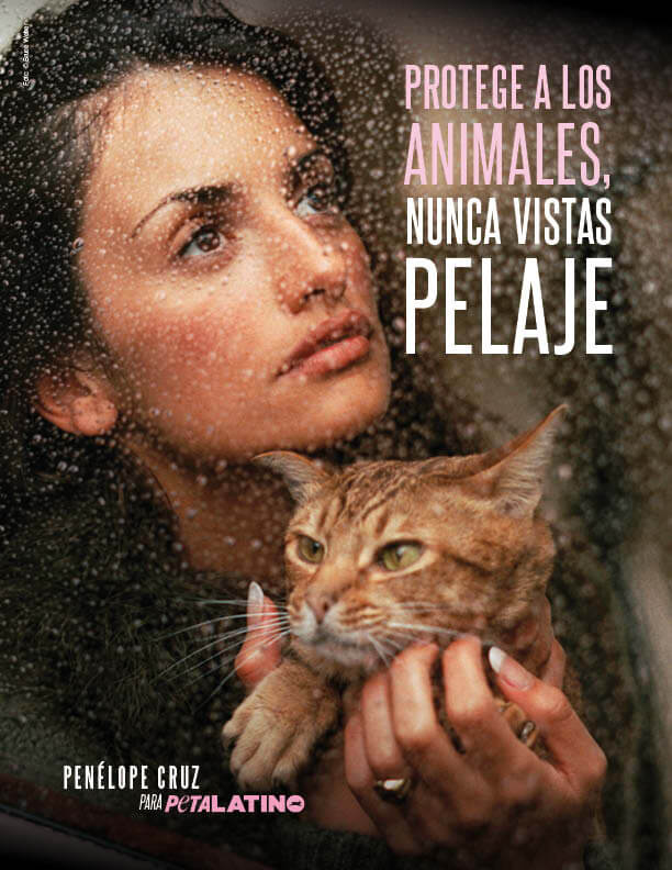 Penélope Cruz se suma a una campaña de PETA contra el uso de pieles