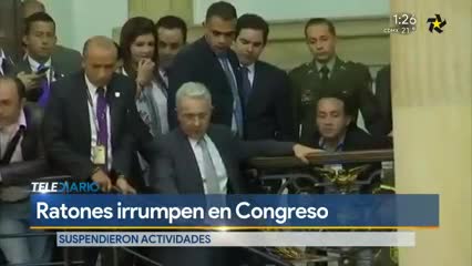 Telediario noticia 