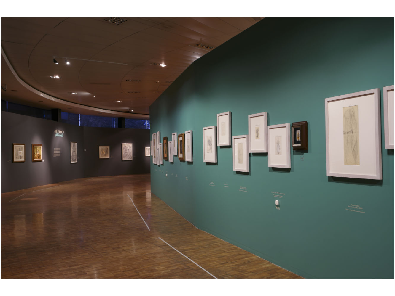 Exposición en Museo de Arte Moderno muestra intimidad de Remedios Varo 
 