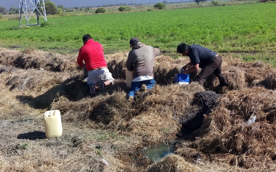 Robar a Pemex es más redituable que ser zeta: Huachicolero