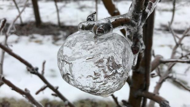 Se forman manzanas de hielo luego del vórtice polar que azotó a Estados Unidos