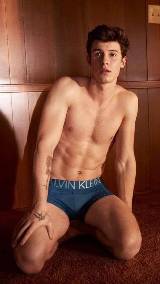 Se filtran fotos de Shawn Mendes en calzones