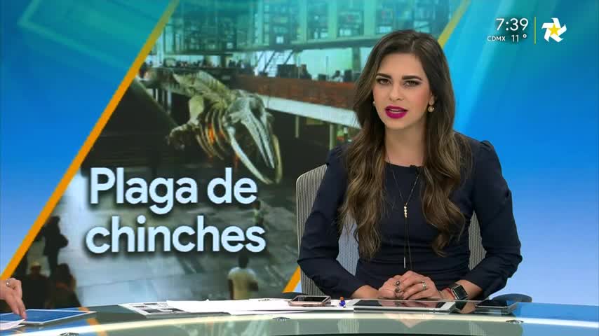 Telediario noticia 