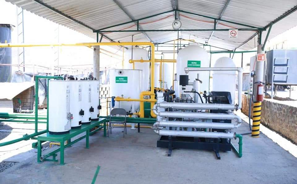 Nopalimex produce biogás con nopales en Michoacán