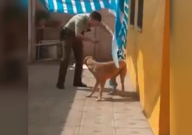 Policía rescata a perro enredado en una manta y recibe un 'abrazo'