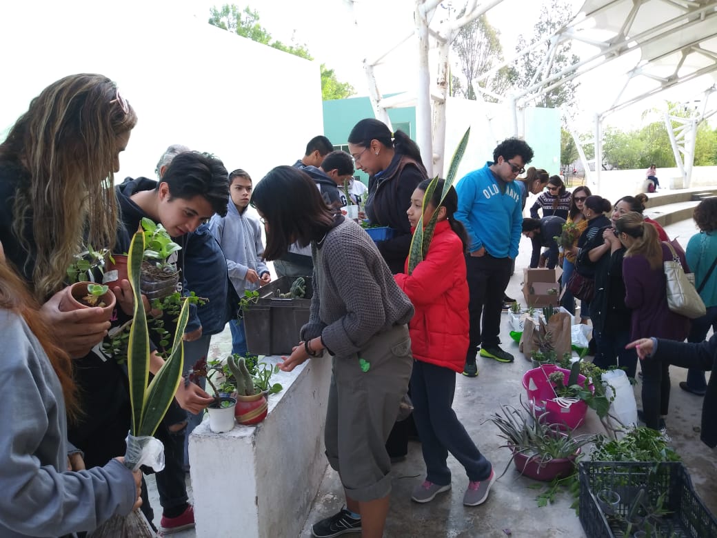 Se reúnen cada primavera en el Bosque Urbano para intercambio de plantas 