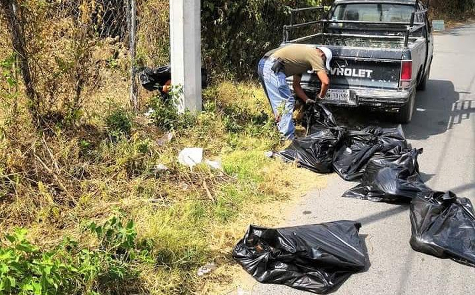 Telediario Media Matan a 12 perros; investigan si fueron envenenados