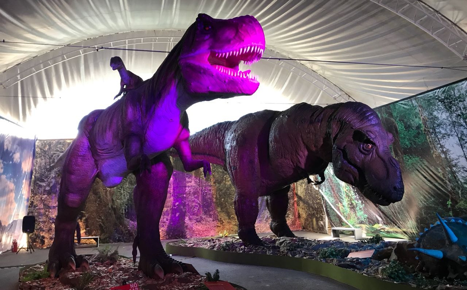 ¡Un nuevo dinosaurio! Descubren una nueva especie en Argentina