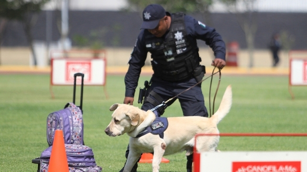 Conmemoran 30 años de servicio de perros policía