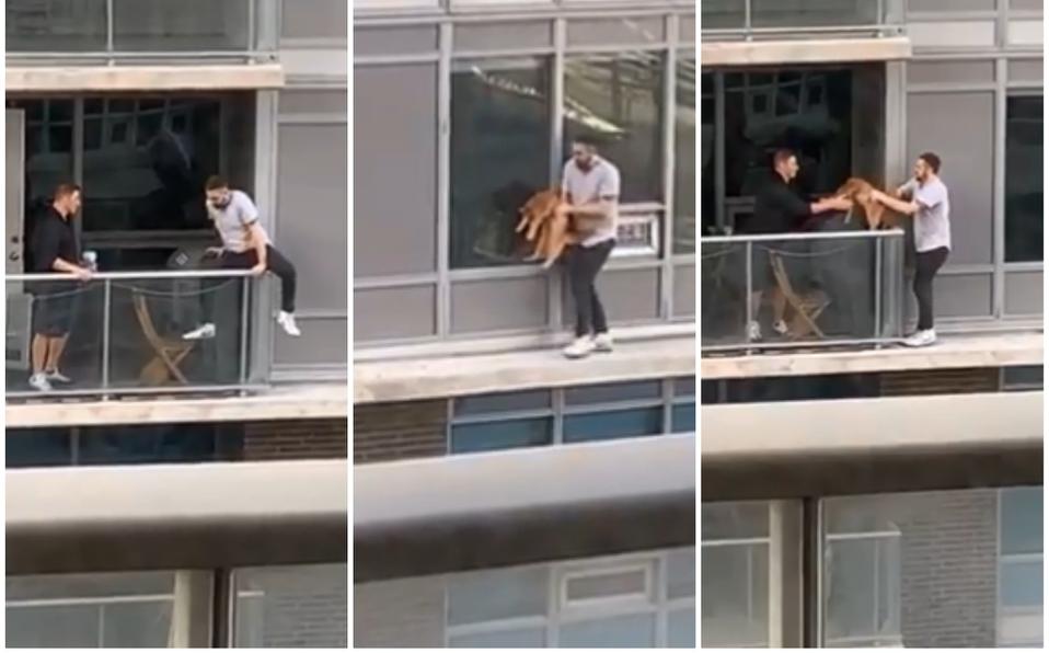 En sexto piso pone en riesgo su vida para salvar a su gato