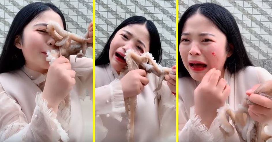 Pulpo succiona cara de mujer que lo quería comer vivo