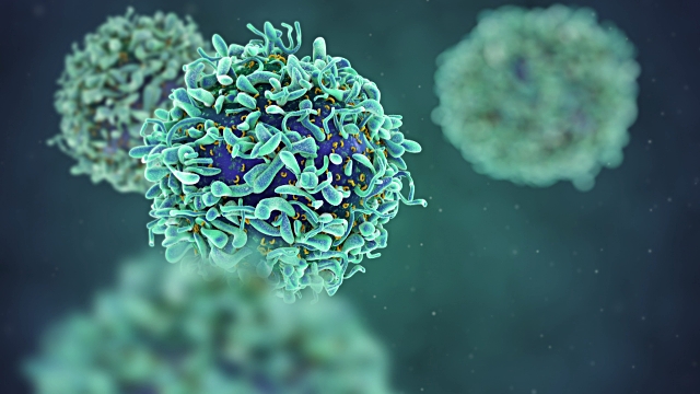 Virus de papiloma es prevenible con educación en sexualidad responsable