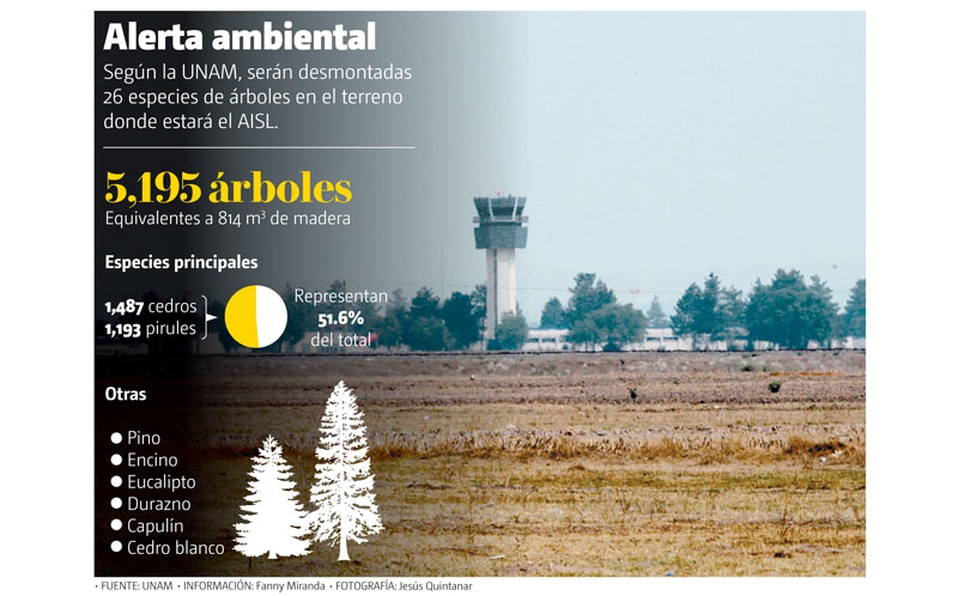 5 mil árboles serán talados para construir pistas en Santa Lucía