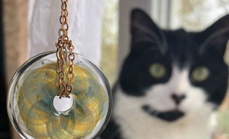Empresa transforma cenizas de tus mascotas en accesorios