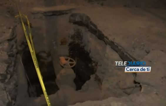 Árbol se desploma de raíz y daña la fachada de un inmueble así como automóvil estacionado