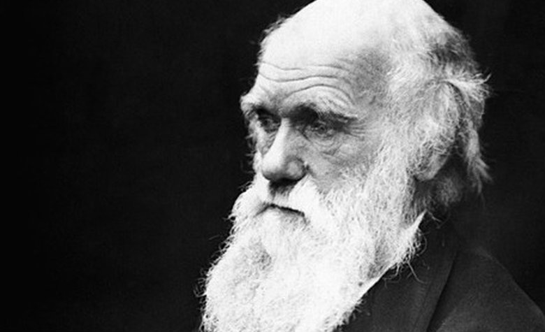 'El origen de las especies' de Darwin: subastan una de sus primeras copias