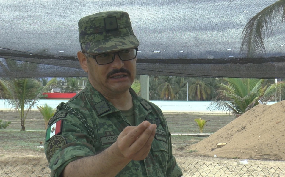 Extinción de la tortuga marina es combatida por el Ejército