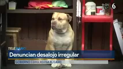 Telediario noticia Secretaría de Gobierno les agendaron reuniones para atender el caso.