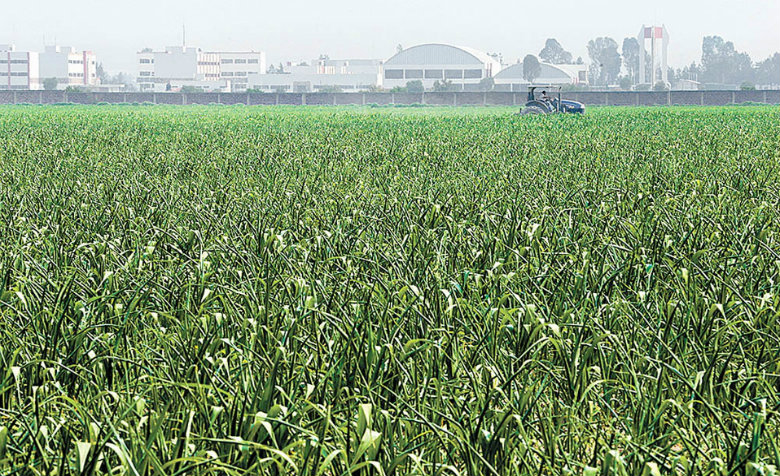 Jornadas agrarias beneficiaron a 3 mil 380 comuneros y ejidatarios, indica el gobierno capitalino