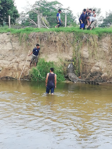 Atrapan a cocodrilo de 3 metros en Oaxaca