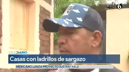 Telediario noticia Sargazo es utilizado por un mexicano para construir casas: lo buscan otros países por su técnica