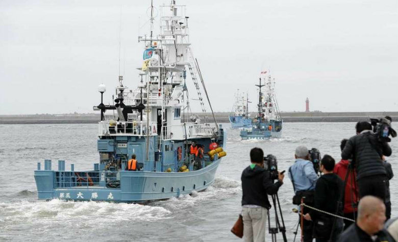 Japón reanuda la caza de ballenas después de 31 años de prohibición