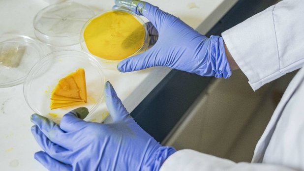 UNAM: científicos crean parche que evoluciona el tratamiento por quemaduras